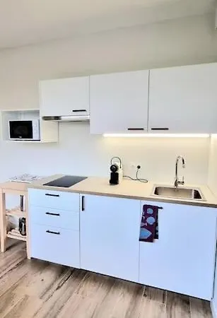 Chic & Garden - Parking - Wifi - Tv Apartament Tuluza