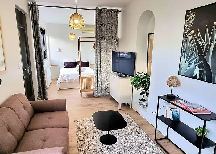 아파트 Chic & Garden - Parking - Wifi - Tv 툴루즈